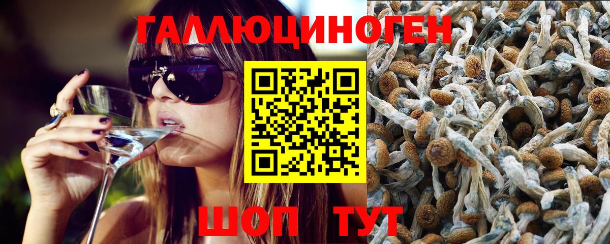 Галлюциногенные грибы Magic Shrooms  Вход с VPN  Омск  Галлюциногенные грибы Cubensis 